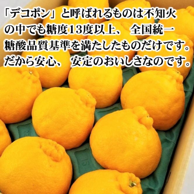 【先行予約】【秀品】デコポン 和歌山有田 約2.5kg
