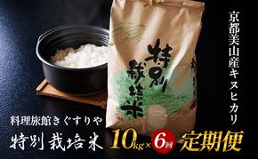 定期便 6回　料理旅館きぐすりや　令和7年産 　特別栽培米キヌヒカリ 10kg