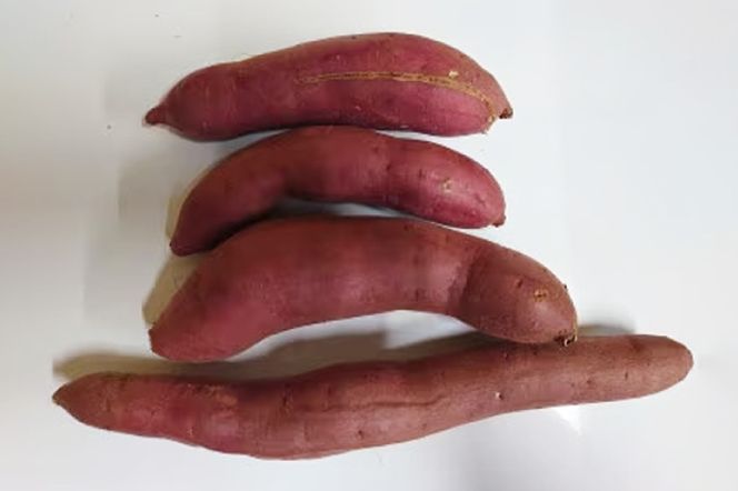 【3ヶ月定期便】★訳あり★紅はるか冷凍焼き芋約1.2kg＋おまかせ品種さつまいも　合計約1.4kg（EY-32）