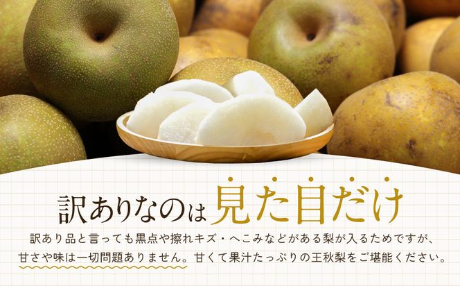 【先行予約】訳あり 数量限定 鳥取県産 王秋梨（おうしゅうなし） 約5kg （7～15玉）≪2026年11月中旬頃出荷≫ 312011_GT003