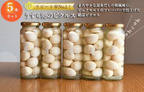 099H3784  【圧倒的企業努力】リピート率No.１！ うずら卵のピクルス 5本セット いずみピクルス NSW 