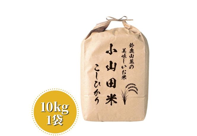 【令和6年度】鈴鹿山麓の銘水が育てた米、米どころ三重県産小山田地区「こしひかり」10kg-[G610]