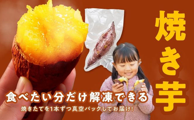 099S025 干し芋 300g＆焼き芋1kgセット【ほしいも 芋 いも 無添加 紅はるか 干しいも おやつ サツマイモ さつまいも】