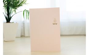 Wild note（カラー：さくら） 272183_EF002