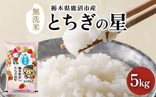 栃木県鹿沼市産 とちぎの星 無洗米 5kg 令和8年産 | 水稲うるち精米 単一原料米 お米 特A 大粒 甘さ ※沖縄・離島への配送不可