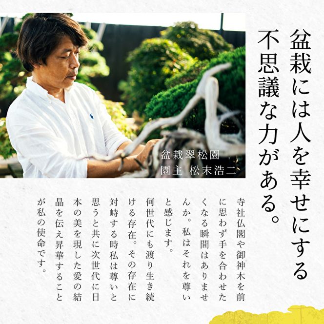 盆栽 翠松園 商品クーポン券 60,000円分 植物 観葉植物 園芸 商品券 兵庫県