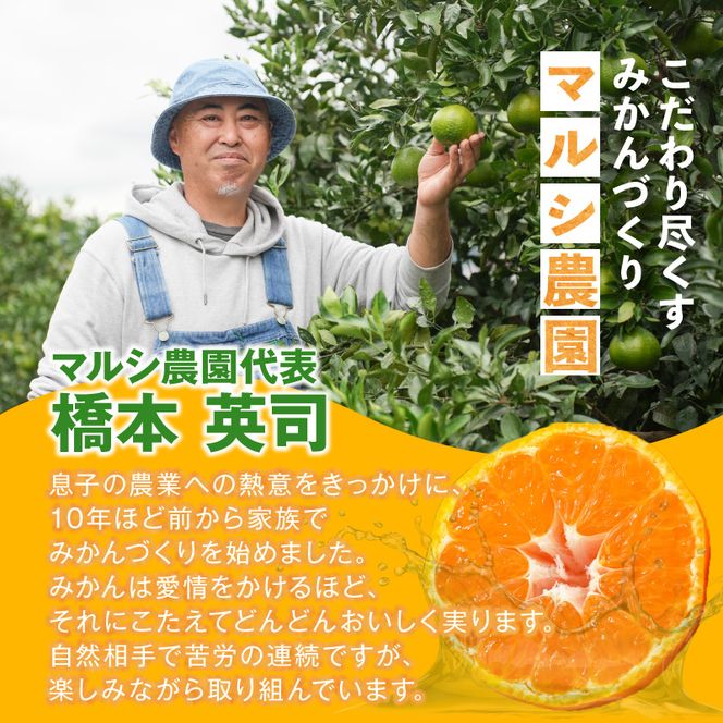《2026年11月中旬～2027年1月中旬頃に順次発送予定》【2026年先行予約】有田みかん　L,2Lサイズ混合　約5kg_BF6070