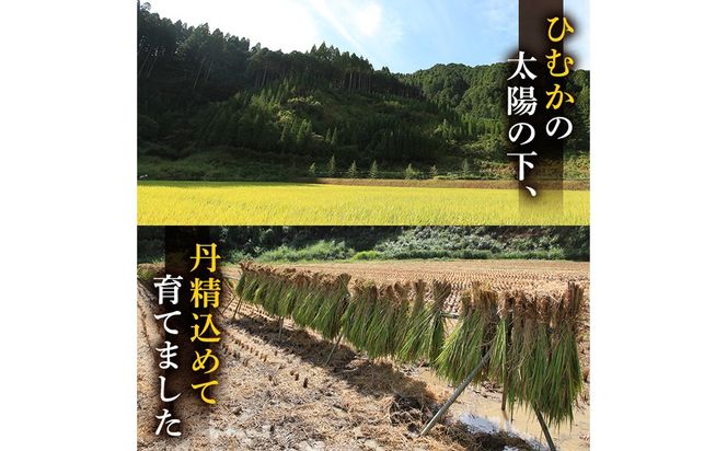 ＜先行予約受付中！2026年10月下旬から順次発送予定＞令和8年産 新米 宮崎県門川町産ヒノヒカリ(5kg×1)  お米 精米 白米 ごはん ご飯 ひのひかり 皇室献上米 【神舞農園】【KM-3】