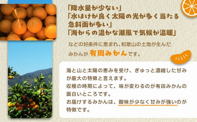 産地直送 有田みかん 大玉サイズ 2L～4L サイズ混合 約10kg 喜楽farms 【2025年12月以降順次発送】 AL07