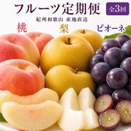 全3回 フルーツ定期便（桃7月、梨8月、ピオーネ9月発送）｜ 和歌山県産 モモ ナシ ぶどう 旬 果物