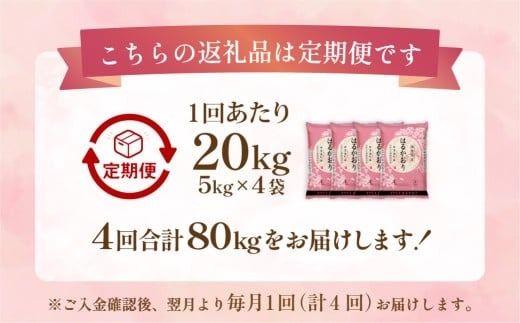 【1ヶ月毎4回定期便】 はるかおり 20kg 計80kg ／ 米 コメ お米 ライス ご飯 ごはん 飯 食品 精米 定期便 常温 福岡県 香春町