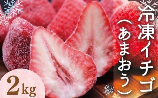 令和6年産 冷凍イチゴ2kg（あまおう）先行予約2024年4月以降順次発送　VZ001