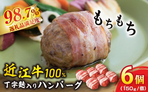 近江牛ハンバーグ【900ｇ（150ｇ×6個）】【AB21W】