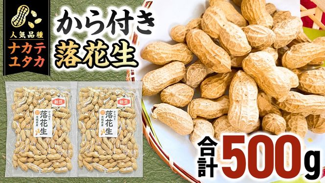 から付き落花生 500g （250g×2袋） 煎りざや落花生 おつまみ おやつ ピーナッツ 殻付き ナカテユタカ [EH21-NT]