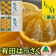 手詰め 有田 はっさく L × 8玉 または M × 10玉 サイズ ちょっと 傷あり 南泰園 みかん  BS714