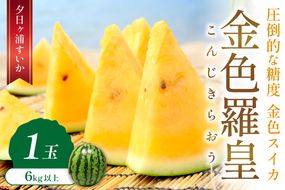 【先行予約／数量限定50】夕日ヶ浦すいか（金色羅皇） 1玉（2026年7月中旬～発送）　国産 スイカ すいか 西瓜 2024フルーツ ふるーつ 果物 くだもの 農家応援 生産者応援 JK00042
