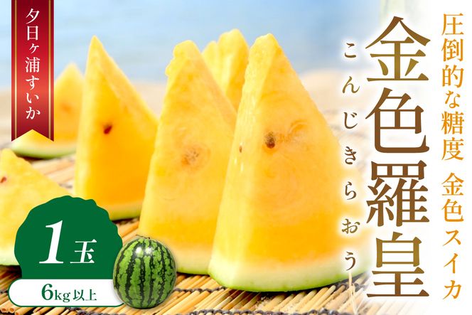 【先行予約／数量限定50】夕日ヶ浦すいか（金色羅皇） 1玉（2026年7月中旬～発送）　国産 スイカ すいか 西瓜 2024フルーツ ふるーつ 果物 くだもの 農家応援 生産者応援 JK00042