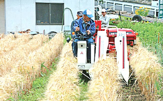 もち麦商品詰め合わせB 高梁市 宇治町産 お酒 ビール 米 セット