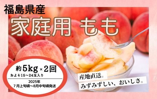 ◆2025年夏発送◆＜家庭用　約5kg×2回＞ ｜ 先行予約 予約 数量限定 桃 もも モモ 果物 くだもの フルーツ 詰め合わせ 福島 ふくしま　※離島への配送不可　※2025年7月上旬～8月中旬頃に順次発送予定