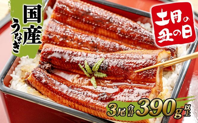 【土用の丑の日までにお届け】うなぎ 蒲焼 3尾 390g以上 国産 鰻 人気 うなぎ蒲焼き うな重 簡易袋 魚 魚介 ギフト K2395