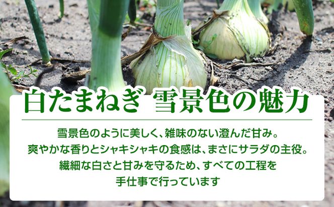 【2026年夏発送】富良野産 白玉ねぎ 雪景色 約5kg （約15～25玉）新玉ねぎ 野菜 甘い 新鮮 直送 玉ねぎ 玉葱 サラダ 北海道 富良野 幕田農園