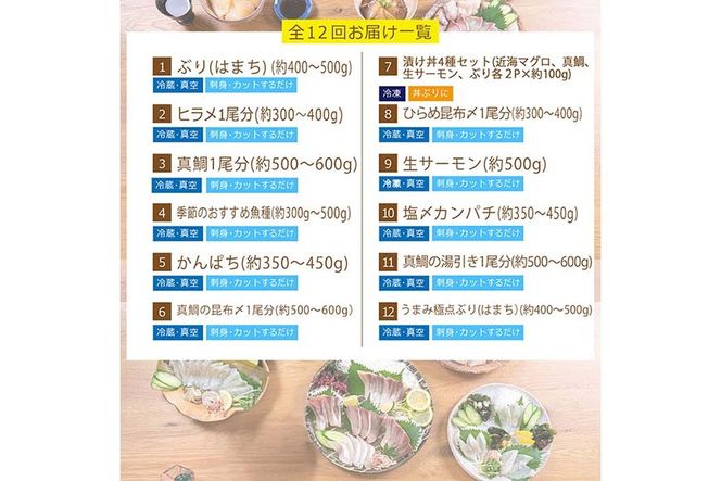 【北海道・離島配送不可】＜定期便・全12回(連続)＞旬の鮮魚(12ヶ月コース)お刺身 お刺し身 魚介 海鮮 漬け丼 ブリ ぶり ヒラメ 真鯛 カンパチ マグロ まぐろ サーモン ヒラメ ハマチ お楽しみ コンシェルジュ【UZ-09】【請関水産】