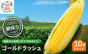 向井さんが作ったとうもろこし ゴールドラッシュ 朝もぎ直送［Lサイズ10本］※8月下旬より順次出荷 先行予約 野菜 朝採り 生 野菜 産地直送 ジューシー 焼きとうもろこし コーンスープ BBQ