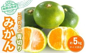 【2026年秋頃発送予約分】こだわりの青切りみかん　約5kg 有機質肥料100%　 サイズ混合　※2026年9月～10月に順次発送予定（お届け日指定不可）【nuk150D】
