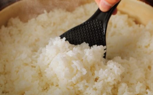 【令和7年産 新米 早期受付 数量限定】 四万十 の 米どころ 山間地域で育てた 大宮米 コシヒカリ 10kg 高知県 高知 しまんと 国産 お米 米 白米 精米 こしひかり 低農薬栽培 ご飯 産地直送 【2025年9月中旬より順次配送】25-305