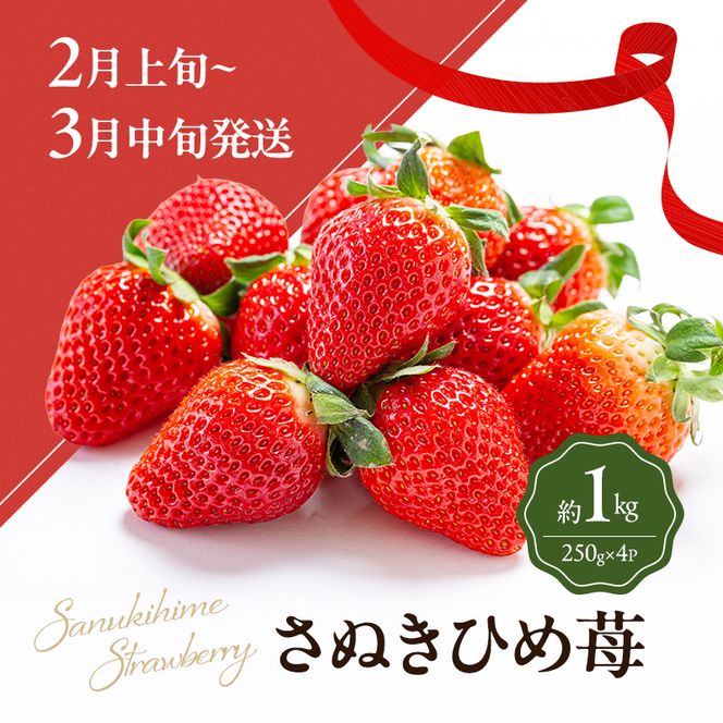 讃岐のフルーツ3回定期便【A】【さぬきひめ苺】【温室さぬき小原紅(紅みかん) 】【さぬきキウイっこ】