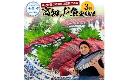 【3回定期便】違いの分かる鮮魚店店長が送る 高知のお魚定期便！！ 海鮮 魚 さかな 新鮮 カツオのタタキ 金目鯛 真鯛 ネギトロ 天然アユ など 旬 季節【さかなの森澤　マル祐】 [BQAM008]