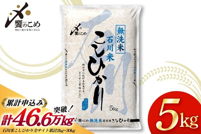 米 令和7年 無洗米 こしひかり 精米 5kg [中橋商事 石川県 宝達志水町 38601204] お米 こめ コメ 令和7年産 コシヒカリ 白米 ごはん ご飯 5キロ 時短 むせんまい 能登 石川