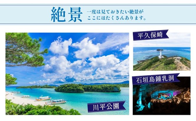 石垣パッケージ旅行補助券(30,000円分) OTI-01