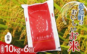 FK7-0275_【6カ月定期】【嘉島町産】くまさんの輝き 10kg 米 お米 コメ ごはん ご飯 食品 九州 熊本県 熊本 嘉島