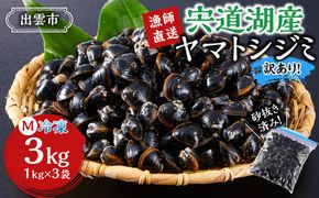 【訳あり】漁師直送！宍道湖産ヤマトシジミ・Mサイズ冷凍3.0kg 322032_EN005