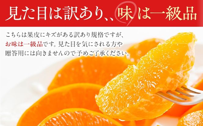 訳あり せとか 1kg M～2Lサイズおまかせ 高石垣ファーム  K011 