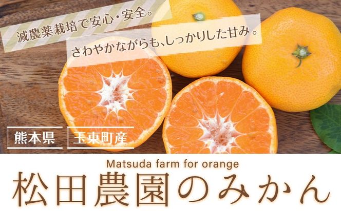 『松田農園』のみかん たっぷり 約3kg(S-2Lサイズ) フルーツ 秋 旬 熊本県 玉名郡 玉東町 松田農園 手間暇かけたこだわりのミカン【日付指定不可】《11月上旬-12月下旬頃出荷》---sg_mtdmikan_ak11_24_10000_3kg---