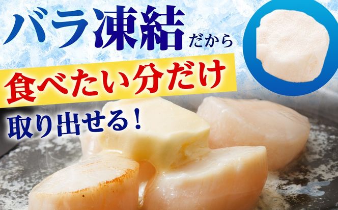 【訳あり】北海道産 白老加工 ホタテ玉冷〈フレーク〉500g×2＜斉藤水産＞玉冷 貝柱