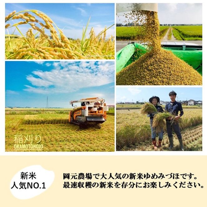 【令和8年産】【日本農業賞大賞】ゆめみづほ2.7kg精白米 能美市 お米 精米銘柄米 ご飯 おにぎり お弁当 和食  粘りが少ない 精米したて 一等米 172111_AE008