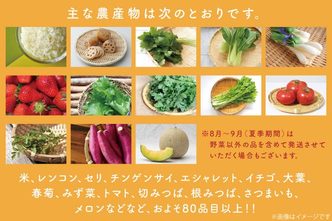 CU-132　【3ヶ月定期便】野菜王国なめがたの旬野菜の定期便（さつまいも入り）