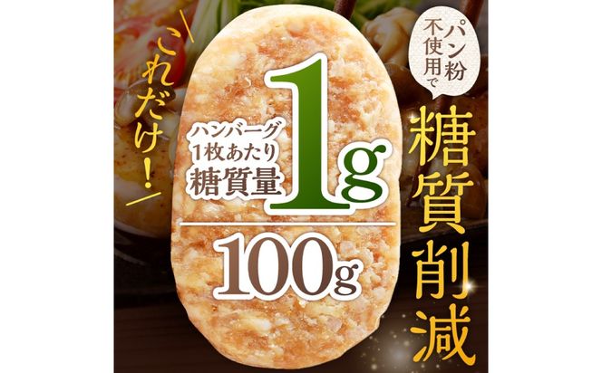 ns004-009 低糖質・無添加（保存料・酸化防止剤）ヘルシーハンバーグ