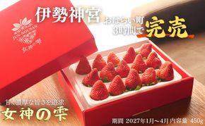 ＜先行予約＞【伊勢神宮おはらい町で3時間で完売】グルメ家が「今までで1番旨い」とうなったイチゴ【女神の雫】 2027年1月 2月 3月 4月 450g 岐阜県 美濃市 じゅん農産 2 苺 イチゴ いちご フルーツ