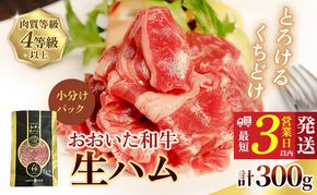 135920-03 おおいた和牛 もも生ハム 300g ( 50g×6P ) 人気 受賞 牛肉 黒毛和牛 ブランド牛 モモ肉 もも肉 ミートクレスト 大分県産 九州産 豊後高田市 国産 送料無料