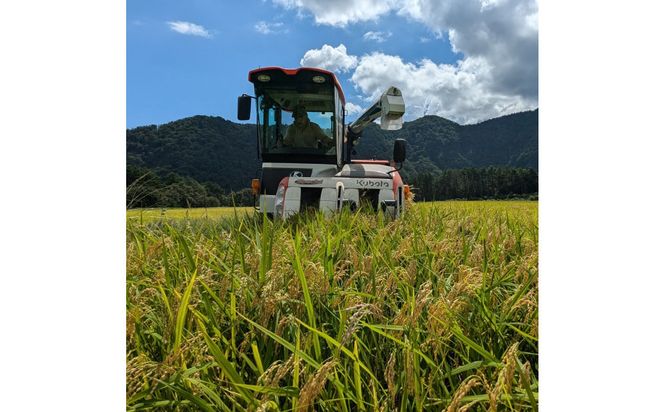 1082.令和7年産　きぬむすめ精米 5kg 313726_CG001
