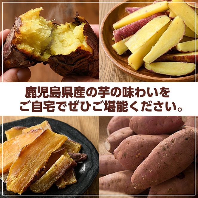 紅はるか食べ比べセット(合計760g) 国産 さつまいも サツマイモ さつま芋 焼芋 焼き芋 やきいも ひとくちカット 一口サイズ 蒸しスティック 干芋 干し芋 干しいも お菓子 スイーツ おやつ お手軽 【海連】akn016-19