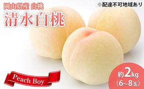 【 2026年 先行予約】 桃 岡山県産 清水 白桃 約2kg(6～8玉) 《2026年7月中旬-8月上旬頃出荷》 白桃 岡山 はくとう スイーツ フルーツ 果物 先行予約 数量限定 期間限定 岡山 里庄町 モモ もも 桃 