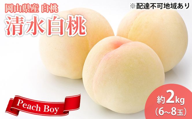 【 2026年 先行予約】 桃 岡山県産 清水 白桃 約2kg(6～8玉) 《2026年7月中旬-8月上旬頃出荷》 白桃 岡山 はくとう スイーツ フルーツ 果物 先行予約 数量限定 期間限定 岡山 里庄町 モモ もも 桃 