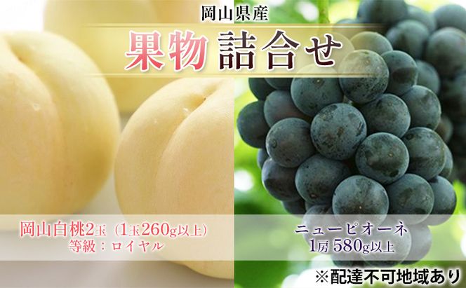 ぶどう 2026年 先行予約 果物 詰合せ 岡山 白桃 2玉 等級：ロイヤル（1玉260g以上） ニュー ピオーネ  1房 580g以上 もも 葡萄 岡山県産 国産 フルーツ 果物 ギフト
