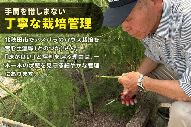 野菜 アスパラガス 北秋田市産 アスパラ 約1kg M～Lのサイズミックス [新鮮 冷蔵 産直 北秋田市産 M L サイズミックス グリーンアスパラ サラダ]|tndn-010101