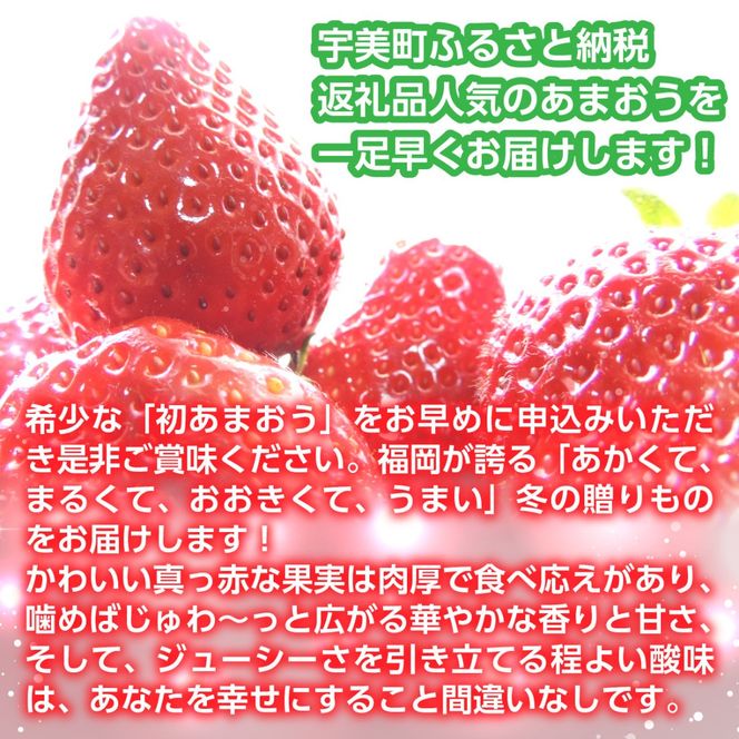 いちご あまおう 冬あまおう 270g以上 4p 計1080g以上 【12月前半〜1月後半発送】 期間限定 [ストロベリーファーム 福岡県 宇美町 um40azp070008] 先行予約 イチゴ 苺 フルーツ 果物 果実 甘い 小分け あまい 4パック 1kg